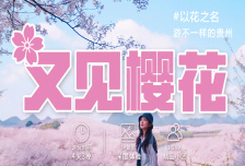 4日 | 又见樱花36KM徒步 | 2024贵州花季小众秘境山地徒步旅行
